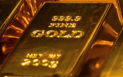 Investment Choices and The Power of Gold Shield