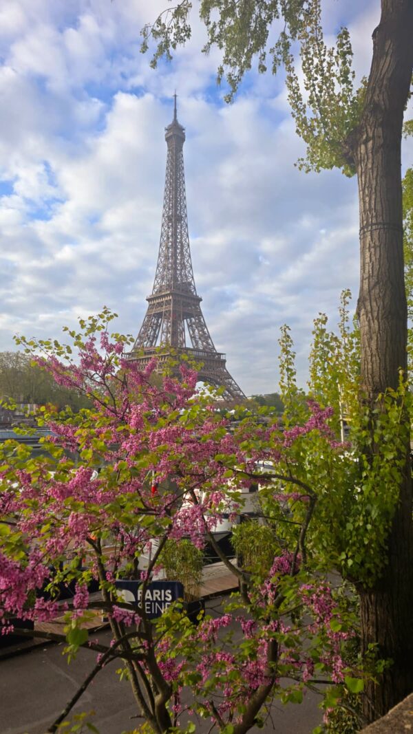 Paris Registration - Image 2