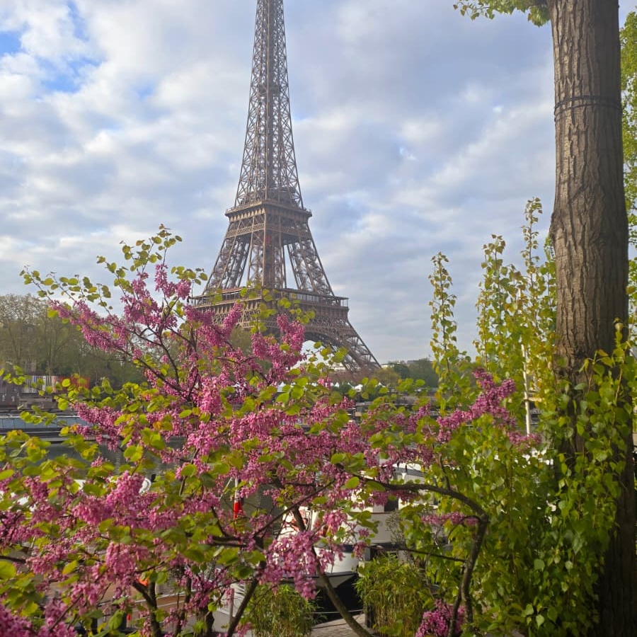 paris-images-signature-series-05