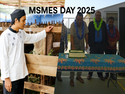 MSMEsDat2025Final