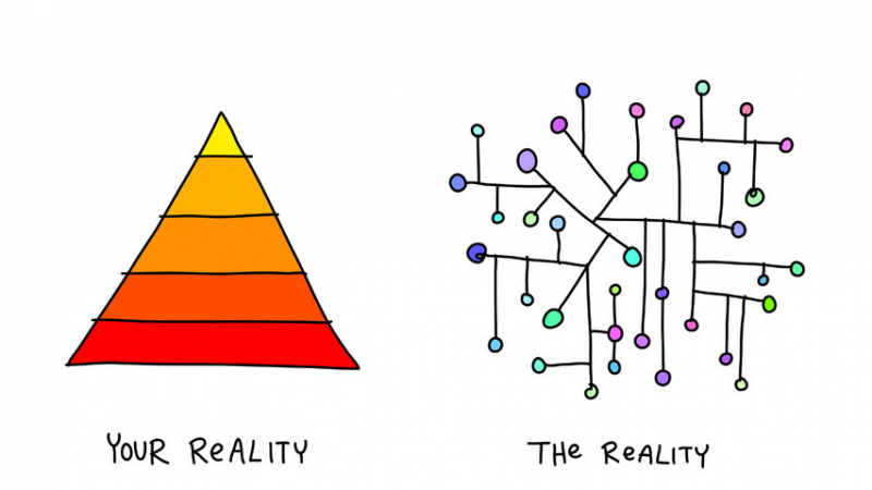 hierarchy or network?